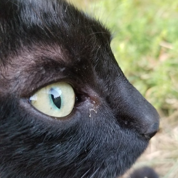 Meet your Posher, Emily - Picture 1 of 1